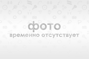Покрышка 20"х2,125 черная ZY-012 30720012