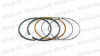 Кольца ZS177MM (NC250) d=77