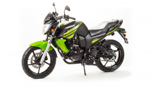 Мотоцикл дорожный MotoLand BANDIT 250 зелёный