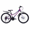 24" Велосипед BLACKOUT 24MD830-12