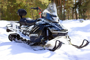 Снегоход IRBIS SF200L Long 2024