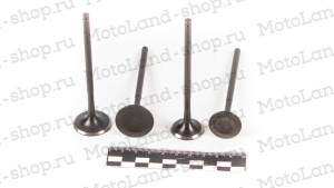 Клапаны ГРМ 174MN-3 (CBS300) (компл=4шт) ZS