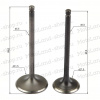 Клапаны 172FMM-5 PR250  X-TECH