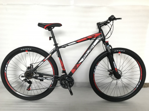  29" Велосипед ROUSH MD210-2 рама 19 (красный матовый)