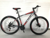  29" Велосипед ROUSH MD210-2 рама 19 (красный матовый)