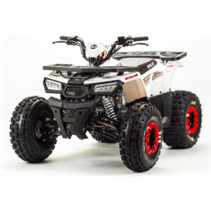 Комплект запчастей 125 WILD BASIC