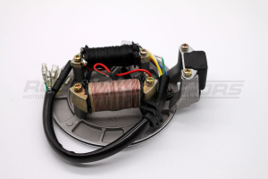 Магнето (статор) TTR-125 2 катушки