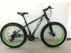  26" Велосипед ROUSH FMD250-1 рама 17 (зелёный матовый)
